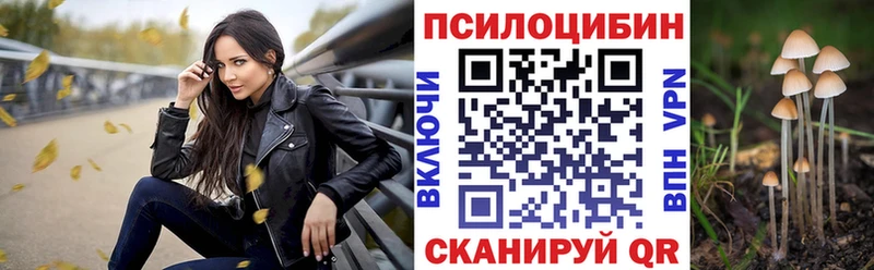 Галлюциногенные грибы ЛСД  блэк спрут сайт  Дудинка 