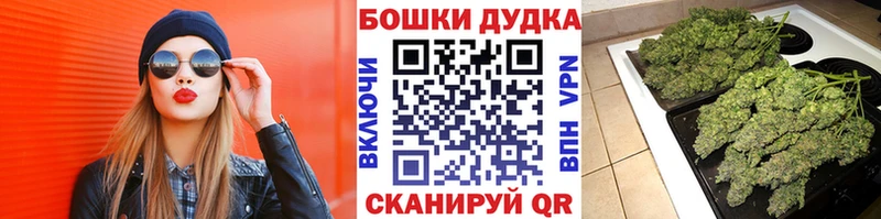 Бошки марихуана White Widow  дарнет шоп  Дудинка 